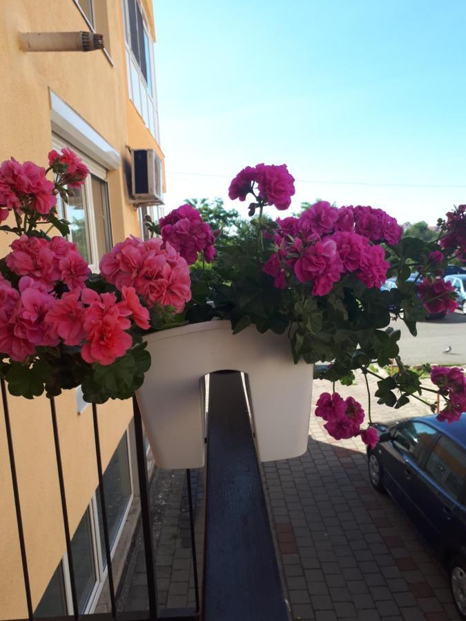 Angel Apartament Sybin Zewnętrze zdjęcie